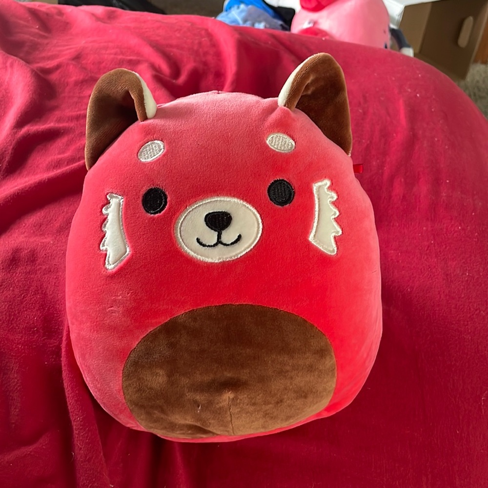 Cici the Red Fox Squishmallow